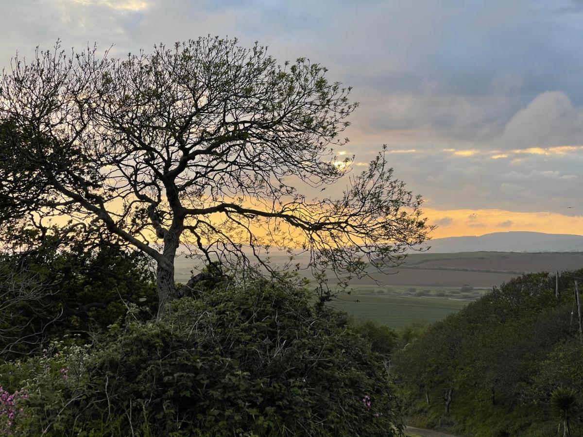 Bike Shed - Beautiful 1-Bed Cottage In Shorwell Extérieur photo